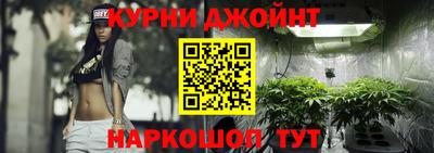 сатива Будённовск