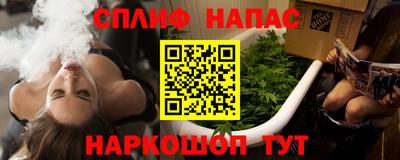 сатива Будённовск