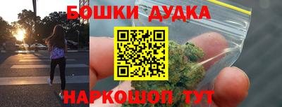 сатива Будённовск