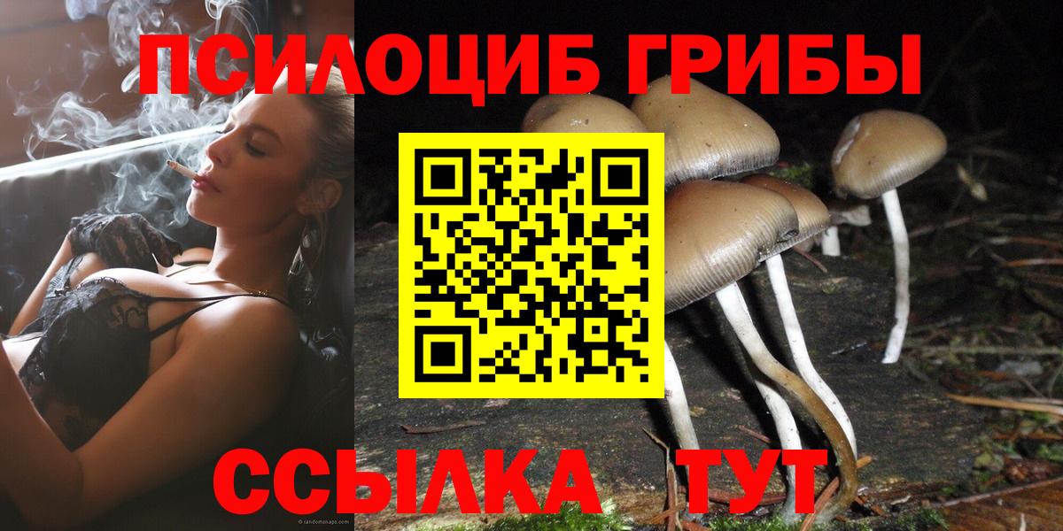 Псилоцибиновые грибы GOLDEN TEACHER Лянтор